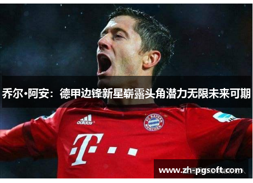 乔尔·阿安:德甲边锋新星崭露头角潜力无限未来可期 乔尔·阿安:德甲边锋新星崭露头角潜力无限未来可期