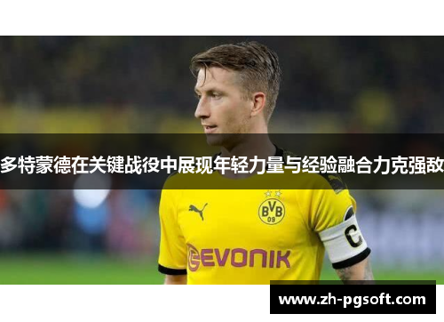 多特蒙德在关键战役中展现年轻力量与经验融合力克强敌 多特蒙德在关键战役中展现年轻力量与经验融合力克强敌