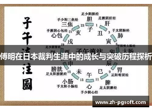 傅明在日本裁判生涯中的成长与突破历程探析 傅明在日本裁判生涯中的成长与突破历程探析