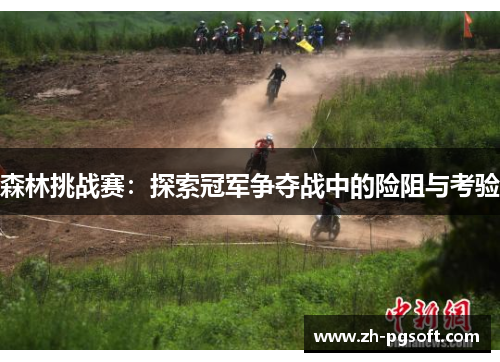 森林挑战赛：探索冠军争夺战中的险阻与考验