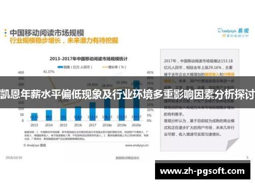 凯恩年薪水平偏低现象及行业环境多重影响因素分析探讨